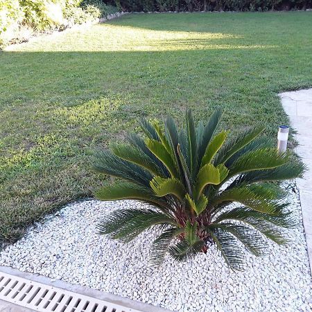 Ferienwohnung Yofanto Sénas Exterior foto